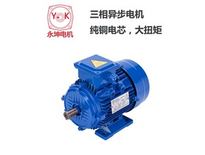 Three phase asynchronous motor is divided into squirrel cage motor and winding motor